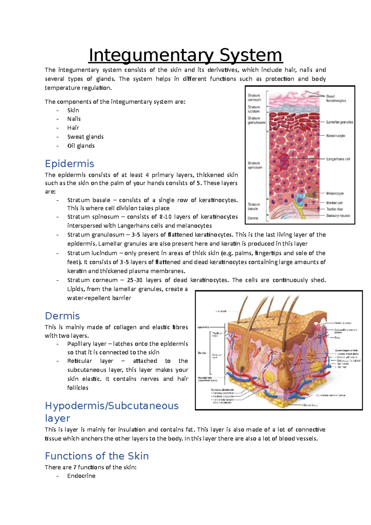 Integumentary System - Summary Of All Lectures - Integumentary System ...