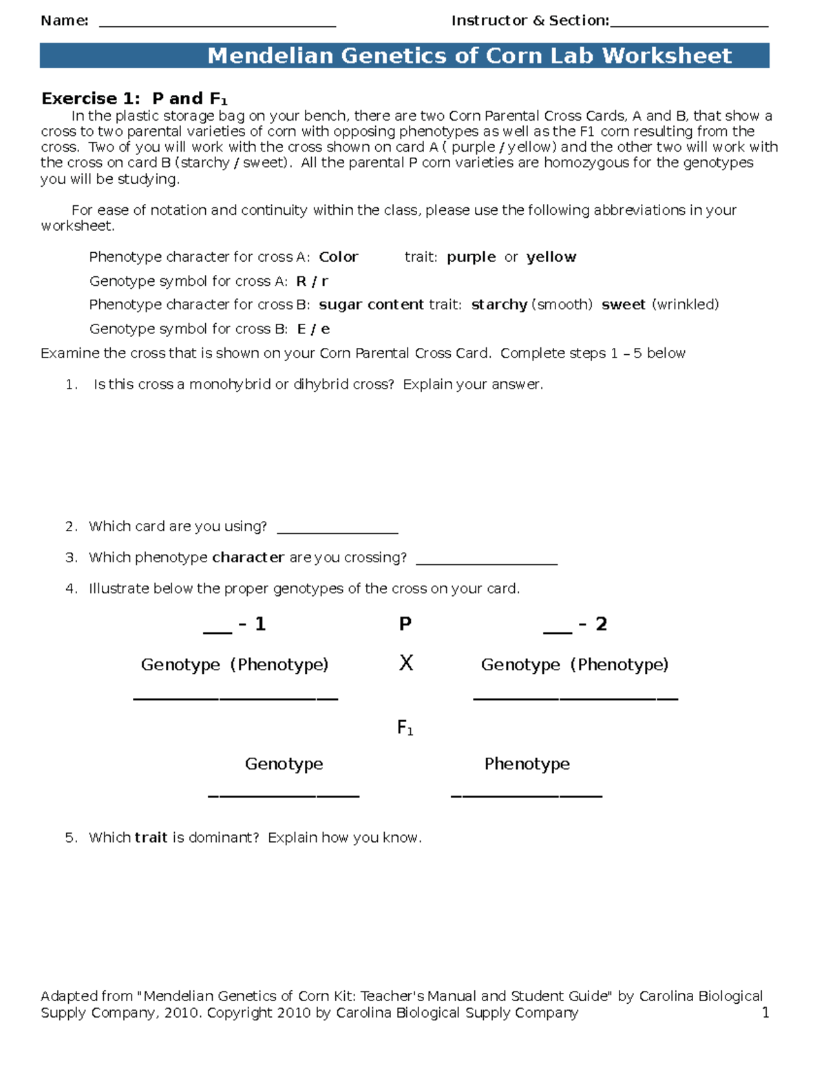 9 Mendelian Genetics of Corn Worksheet S23 - Exercise 1: P and F 1 In ...