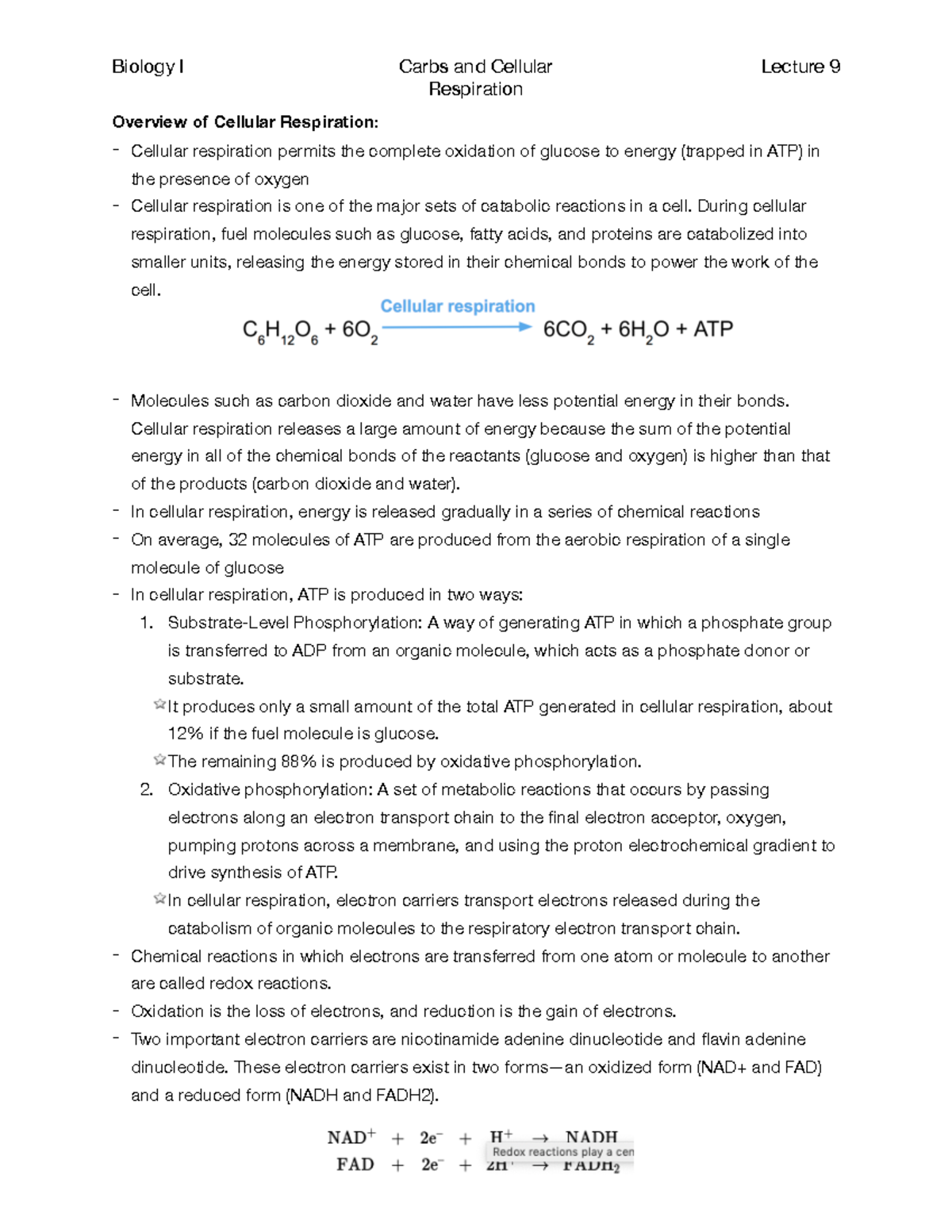 Biology I, Lecture 9, Cellular Respiration (PDF) - Respiration Overview ...