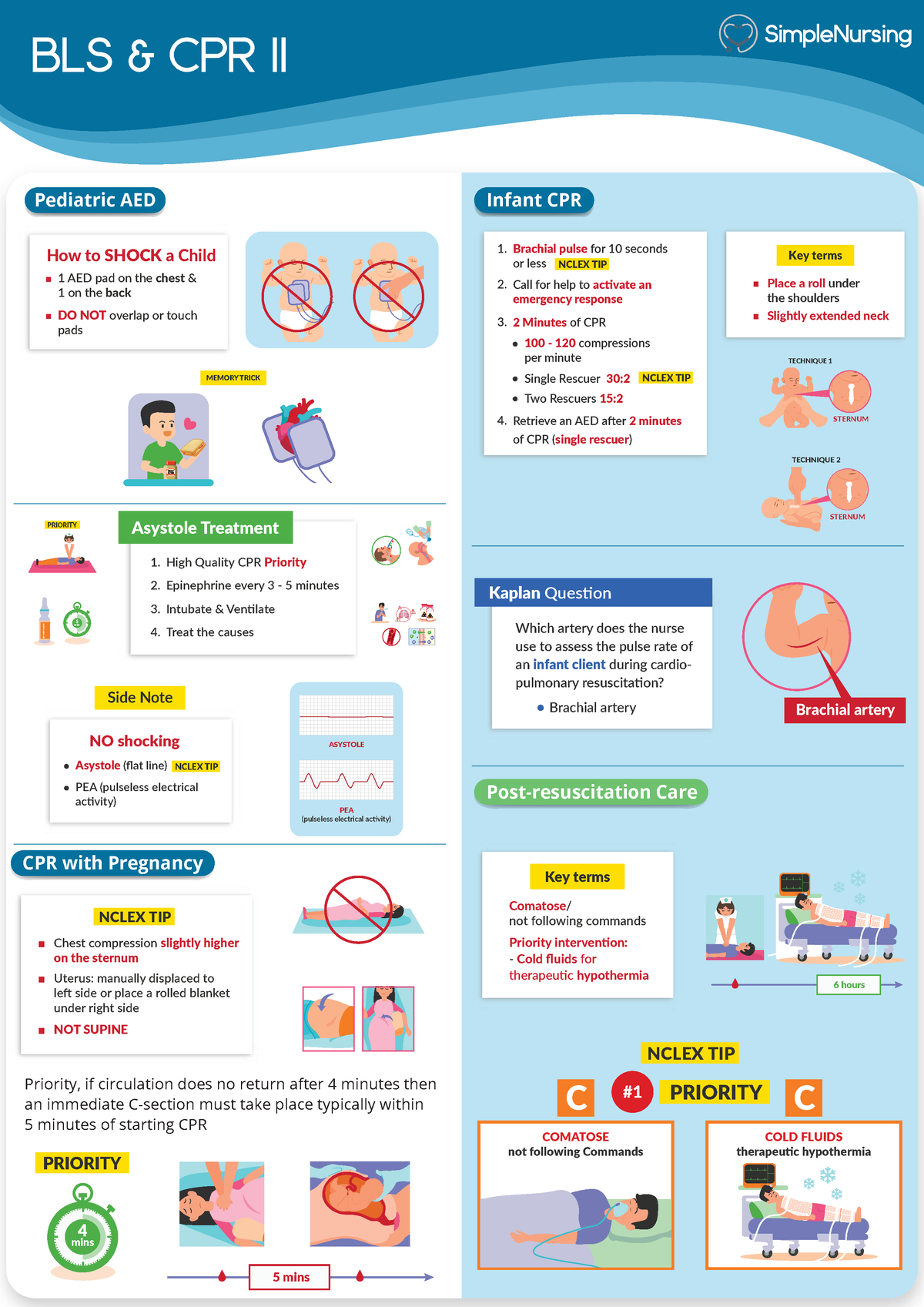 2. BLS CPR II - NCLEX - BLS & CPR II Pediatric AED 1 AED pad on the ...