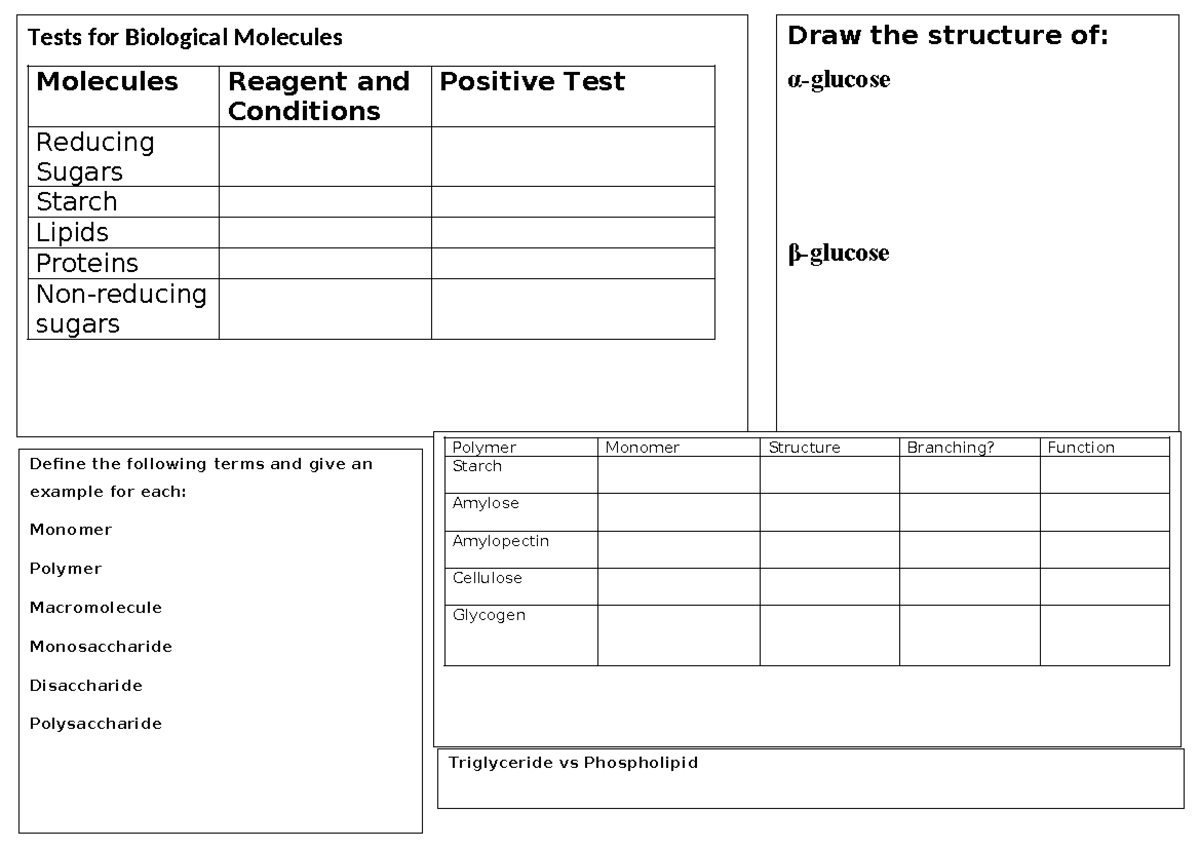 Biological molecule Tests for Biological Molecules Molecules Reagent