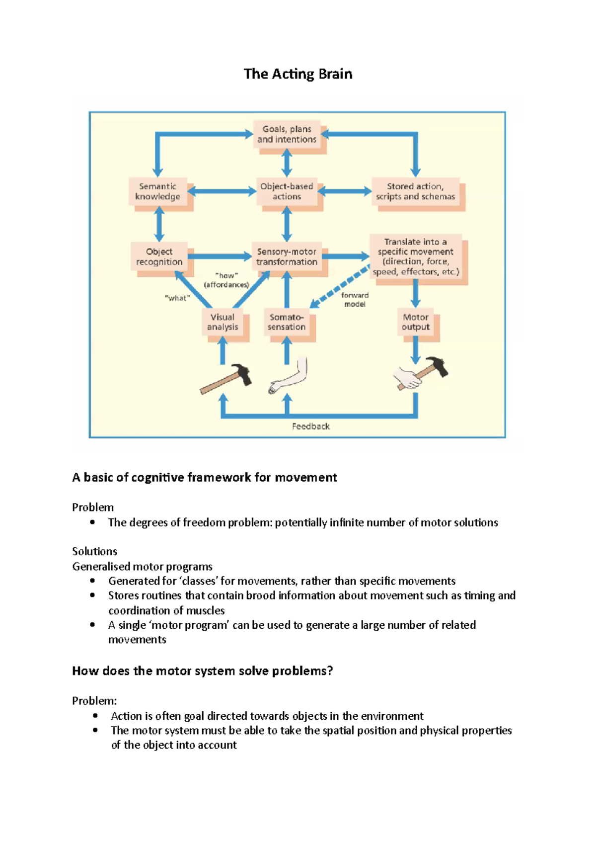 Week 5 - The Acting Brain - The Acting Brain A basic of cognitive ...