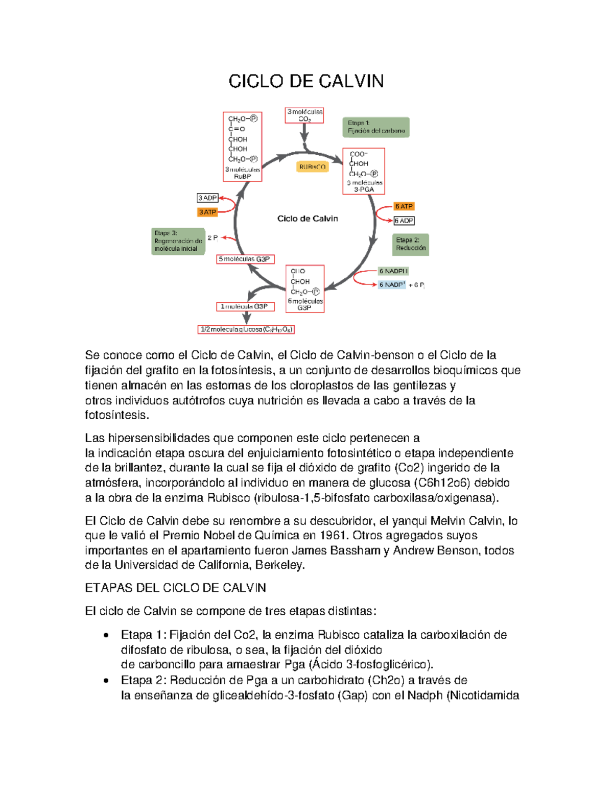 Ciclo De Calvin