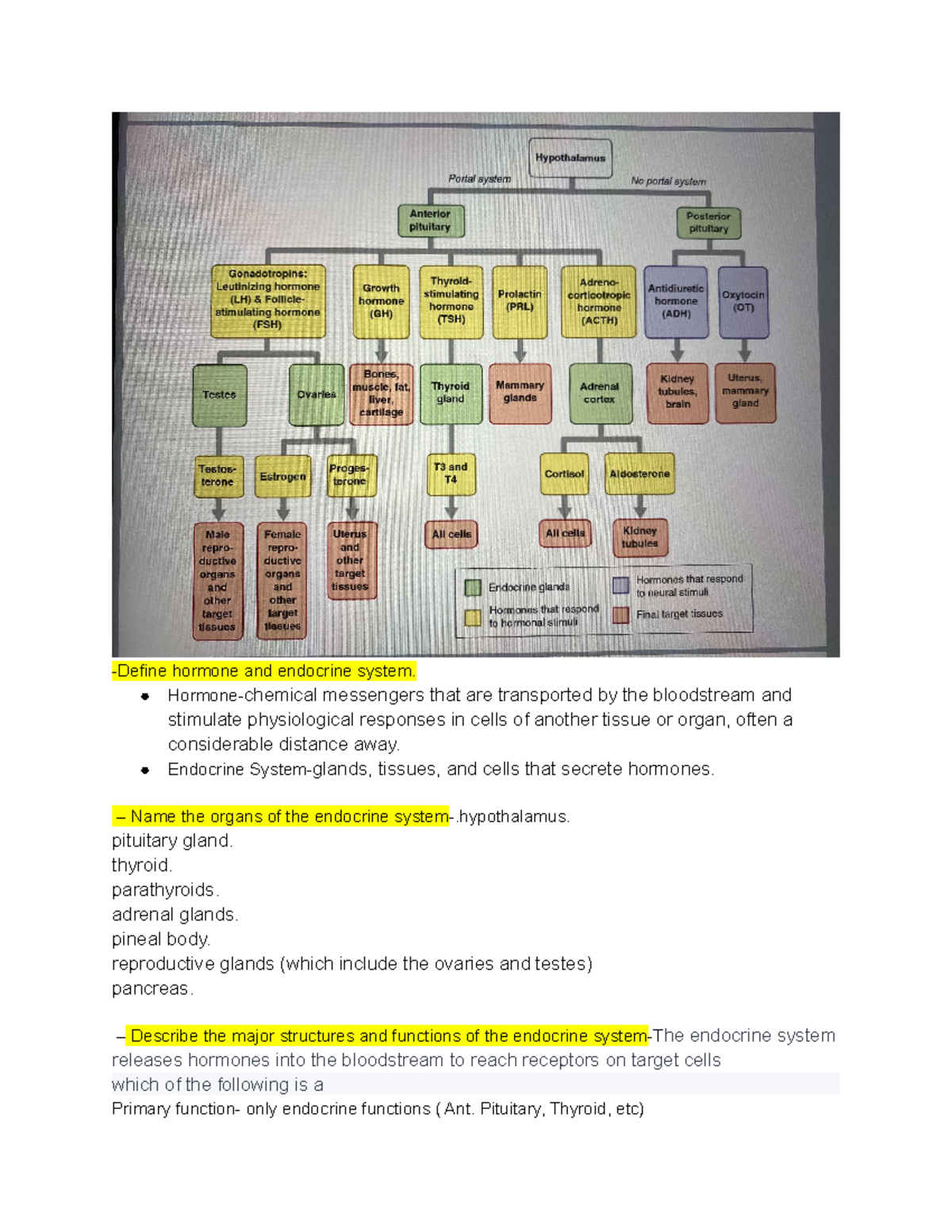 test-number-2-study-guide-define-hormone-and-endocrine-system-hormone