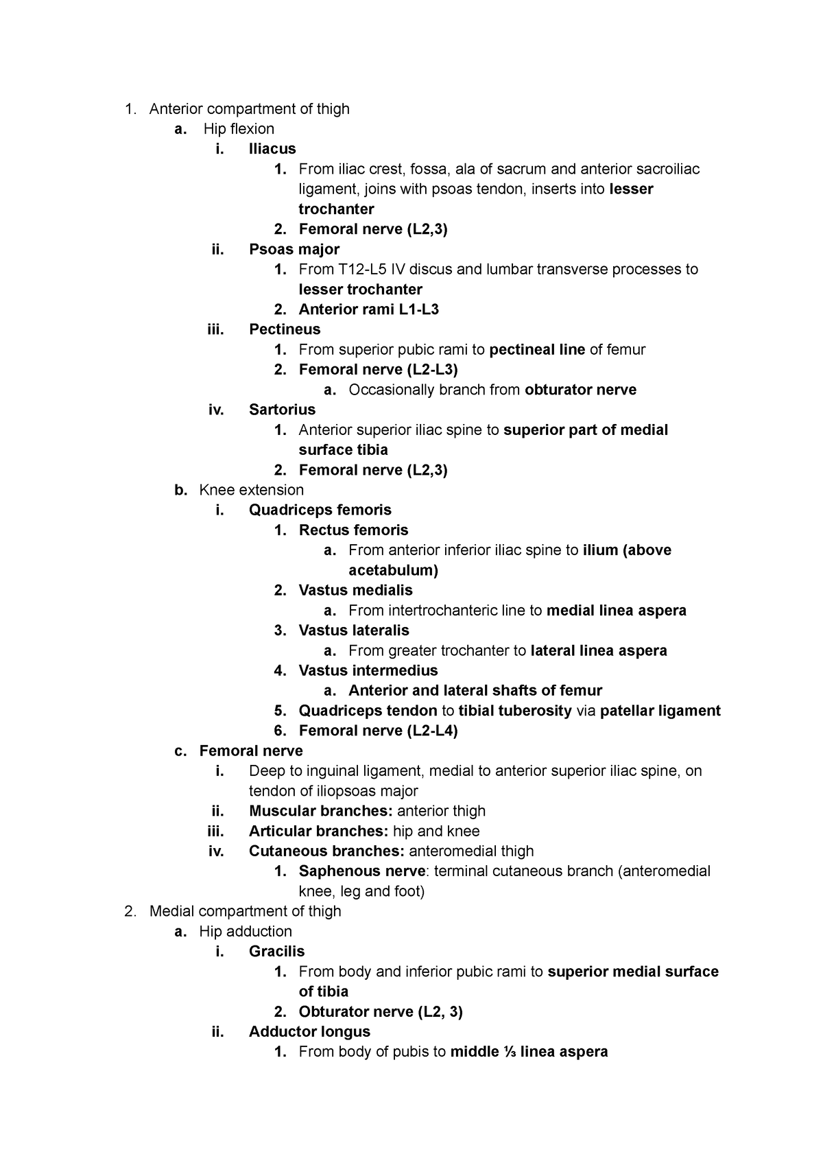 Anterior and Medial Thigh - Anterior compartment of thigh a. Hip ...