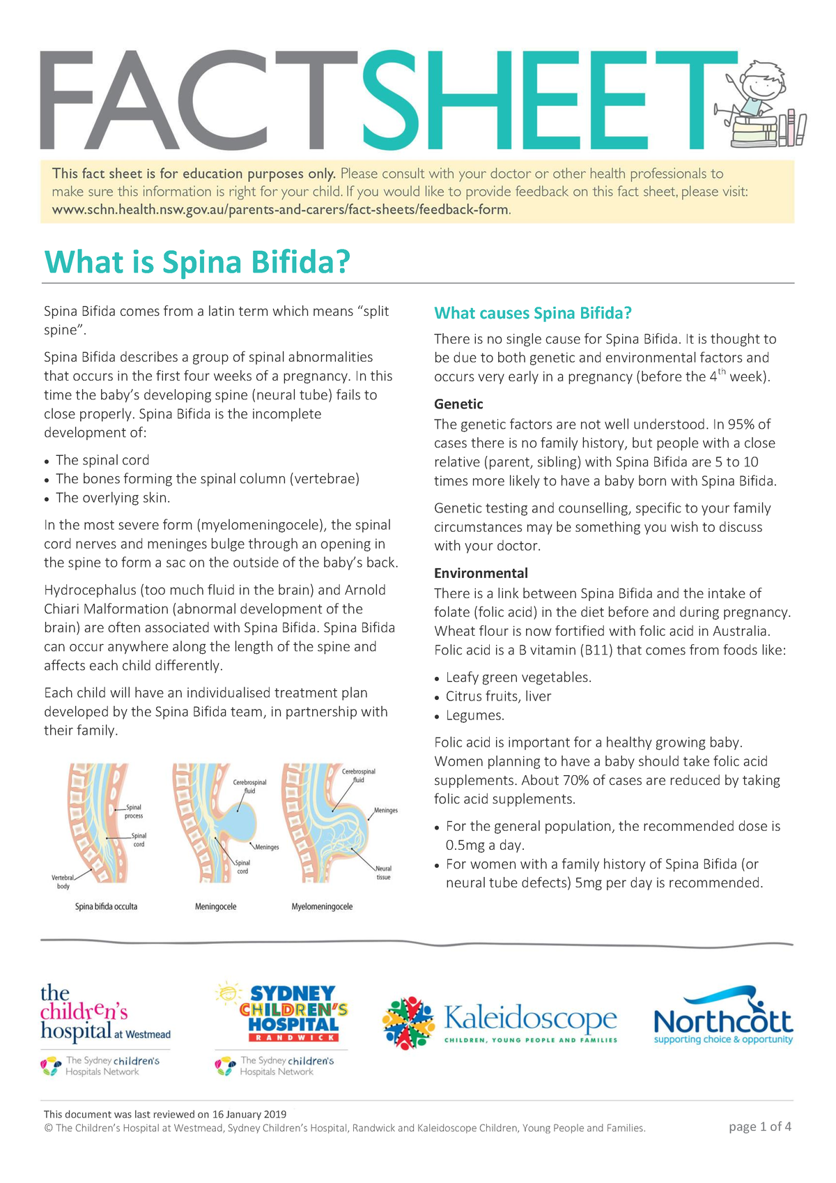 Spina Bifida - This Document Was Last Reviewed On 16 January 2019 What ...