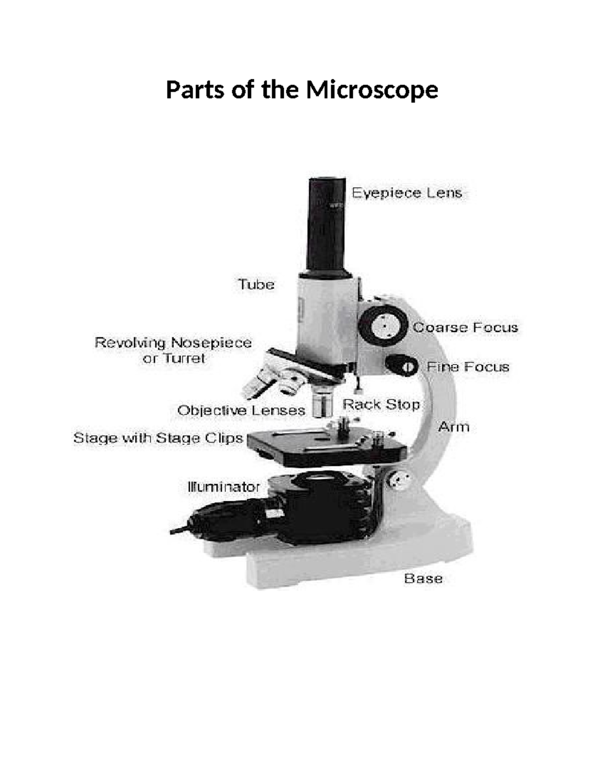 Parts of the Microscope - Anatomy and Physiology - Studocu