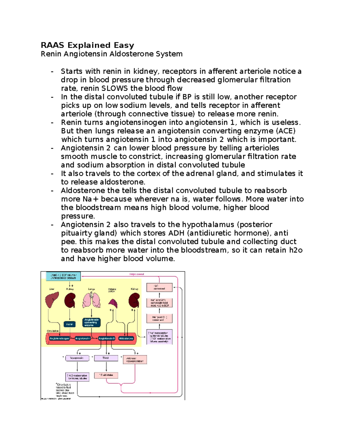 RAAS Explained Easy - RAAS Explained Easy Renin Angiotensin Aldosterone ...