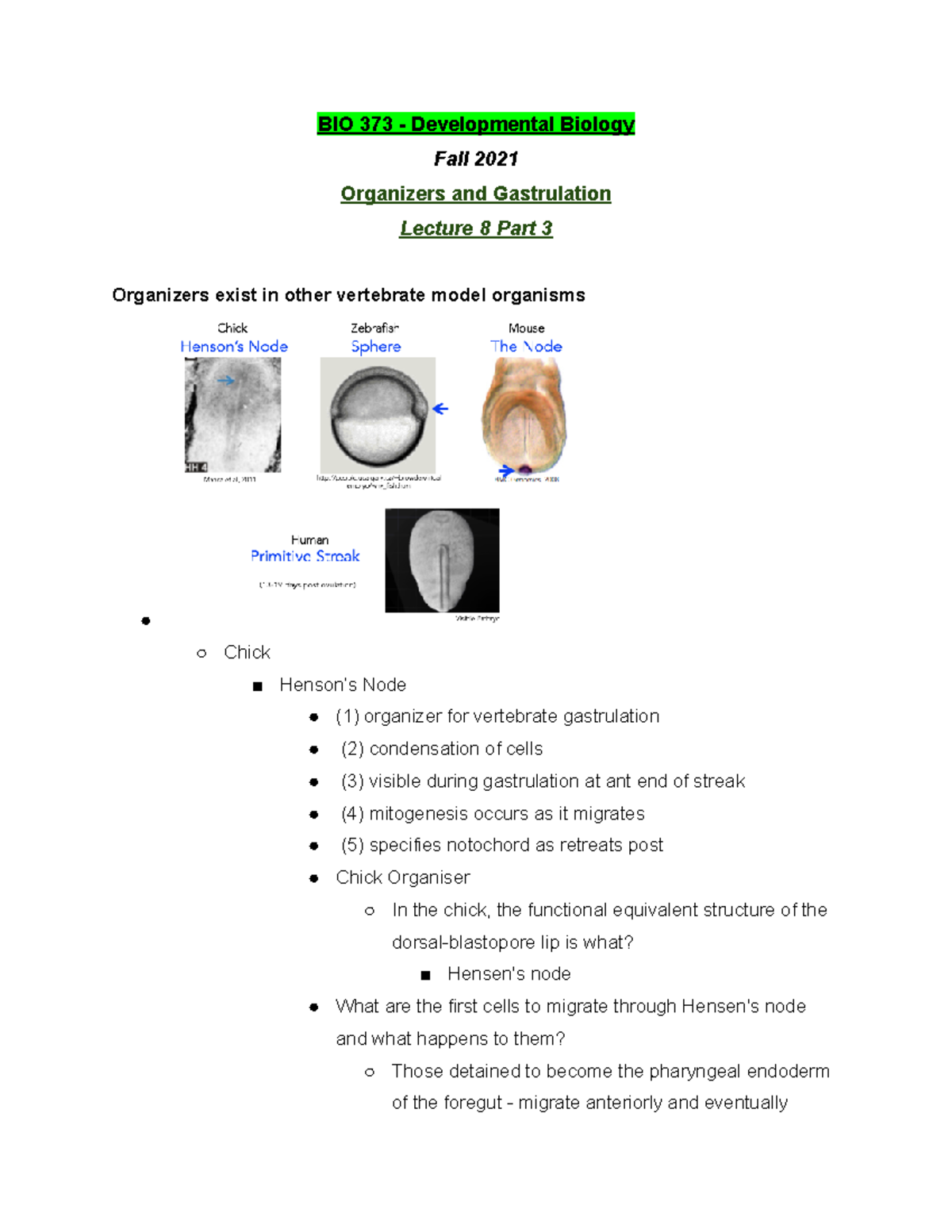 BIO 373 Lecture 8 Part 3 - Fall 2021 - BIO 373 - Studocu