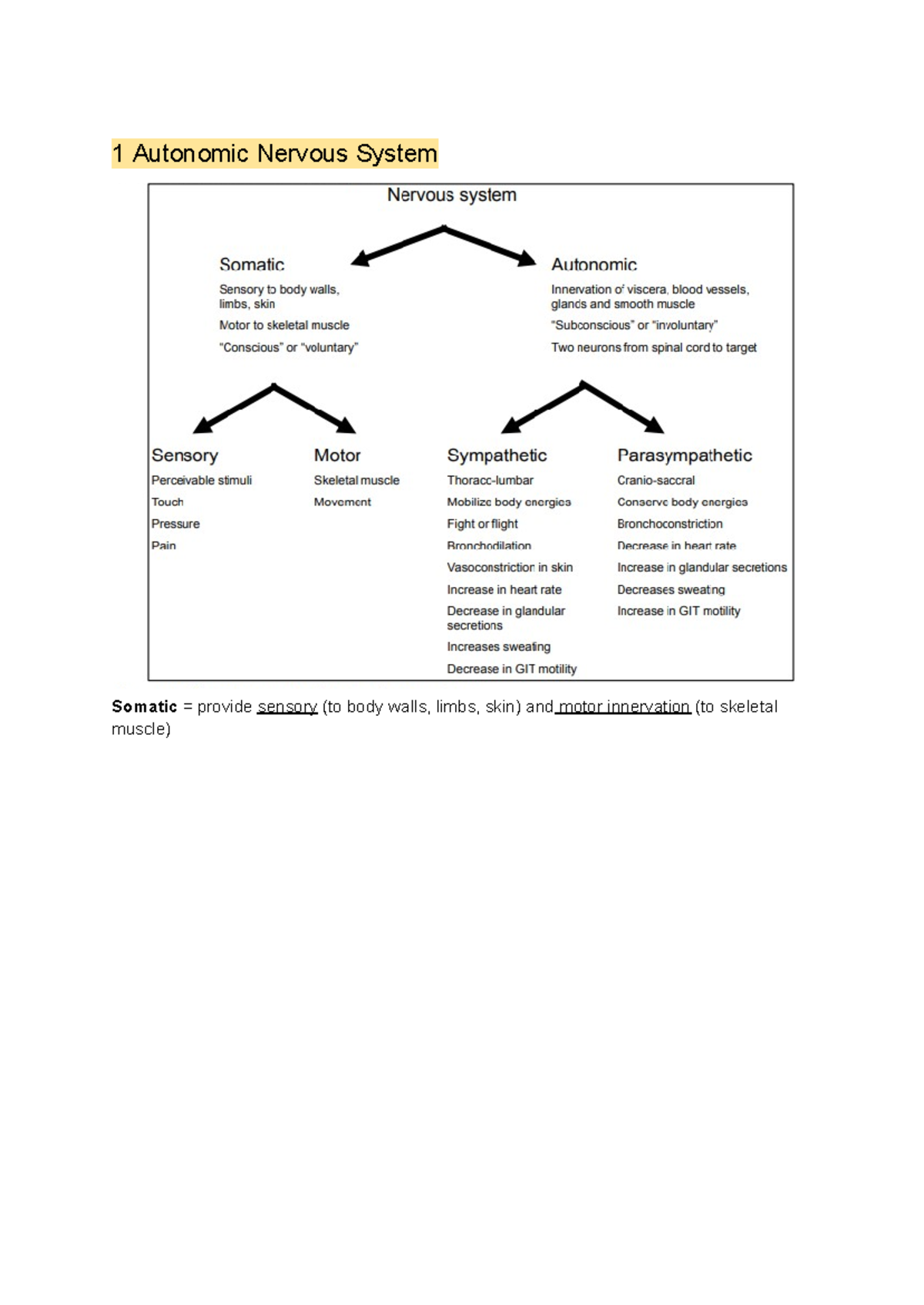 Week 1 - autonomic nervous system - 1 Autonomic Nervous System Somatic ...