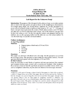AMNA Riasat-Lab report 12- Epidemiology - AMNA RIASAT Lab Report 12 ...