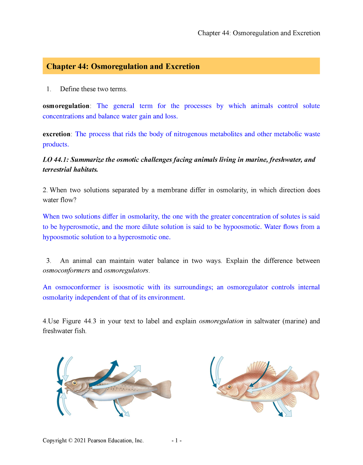 CH 44 Active Study Key - Osmoregulation And Excretion - Chapter 44 ...