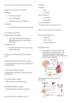 Drugs Acting ON THE Renal System - DRUGS ACTING ON THE RENAL SYSTEM The ...