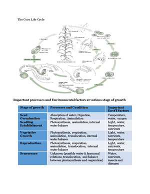 Ecological-Succession-Activity-2022-2023 - Ecological Succession Part 1 ...