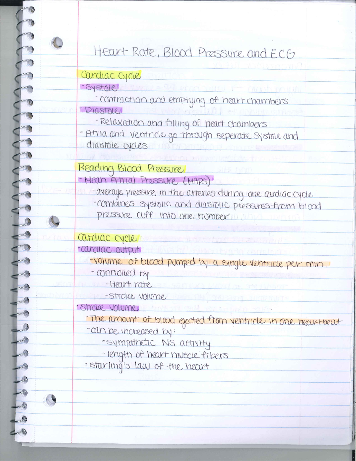 Bio 251 Heart Rate Lab Notes - Biol 251 - Studocu