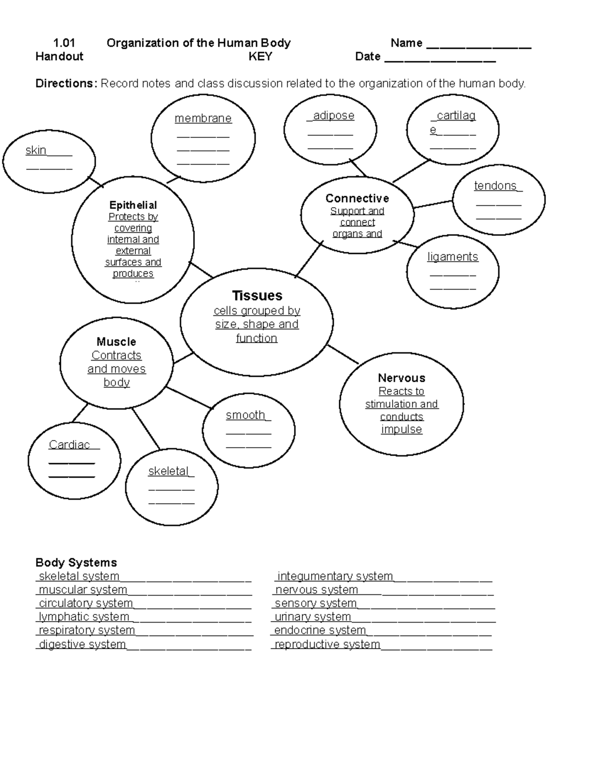 Answer key for Original study guide 1 - 1 Organization of the Human