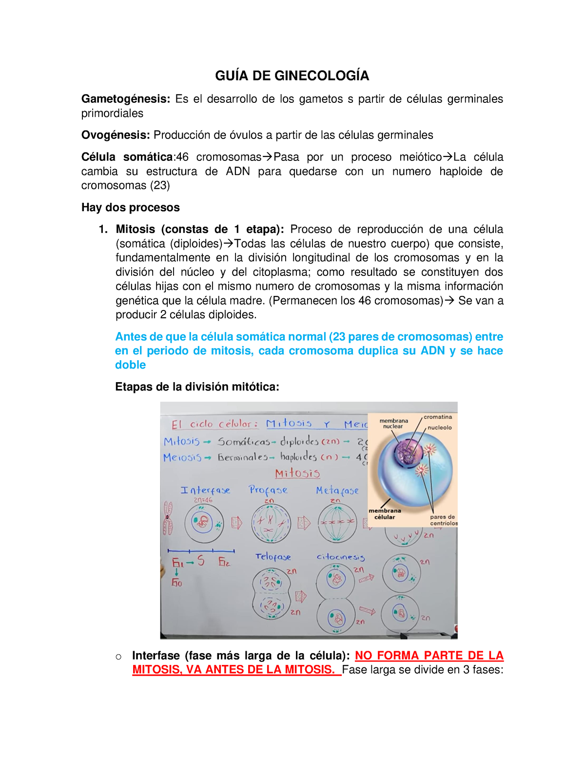 Guía De Ginecologia Primer Parcial - GUÍA DE GINECOLOGÍA Gametogénesis ...