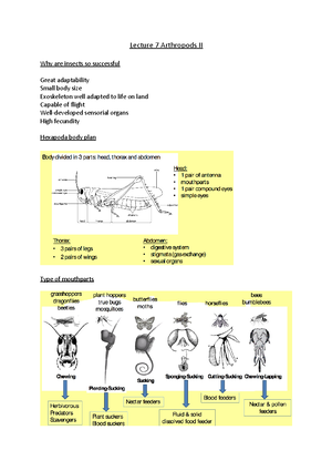 Lecture 1 Classifying and naming organisms - Lecture 1: Classifying and ...
