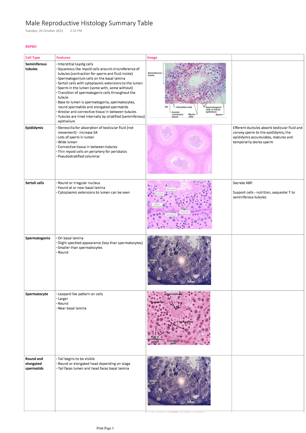 Male Reproductive Histology Summary Table - REPRO Cell Type Features ...