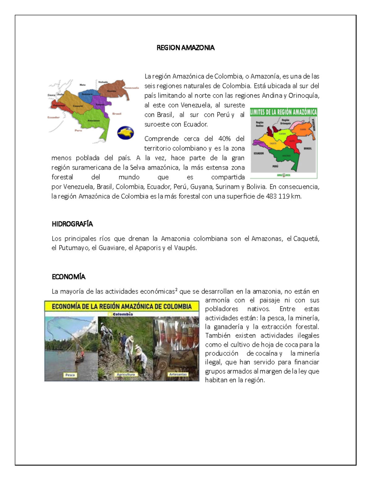 Region Amazonica - dfgdfg - REGION AMAZONIA La región Amazónica de ...