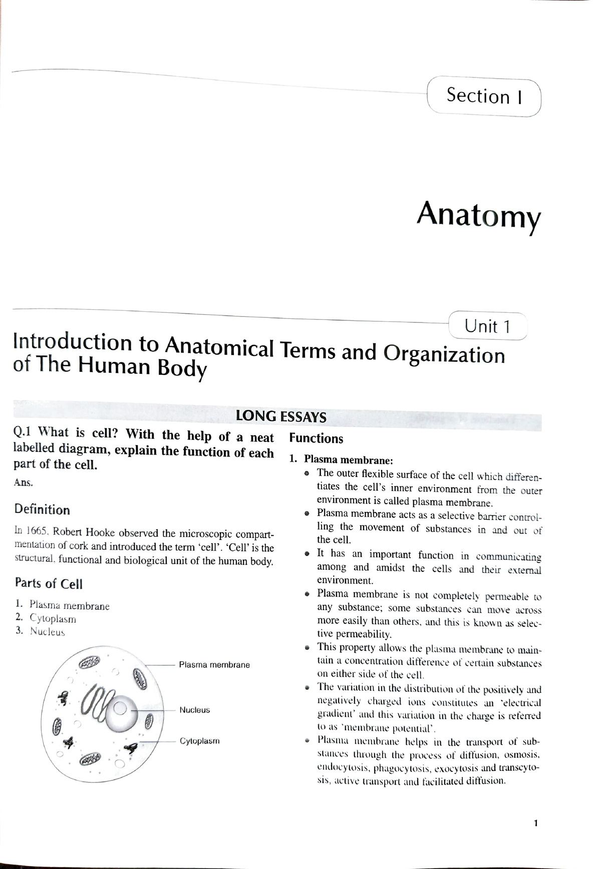 Anatomy Intro 1 - Essay Notes For Bsc Nursing Students ...