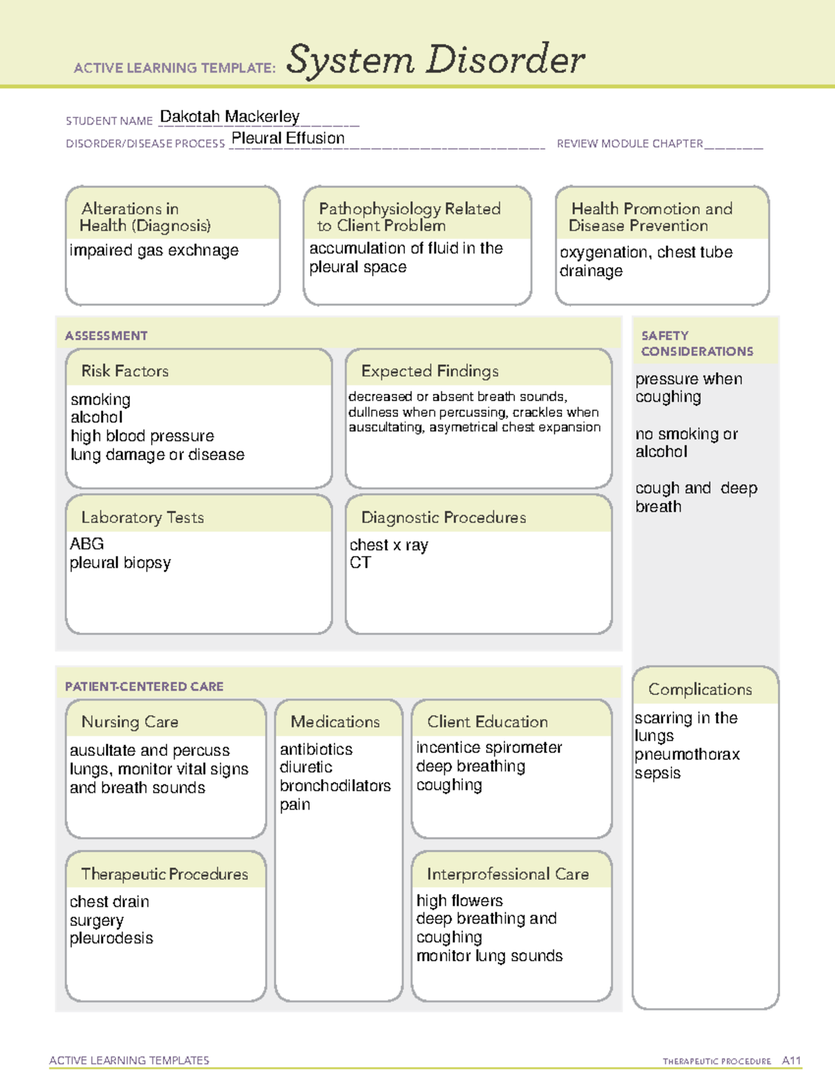 Basic Pleural Effusion Learning Templete Active Learning Templates