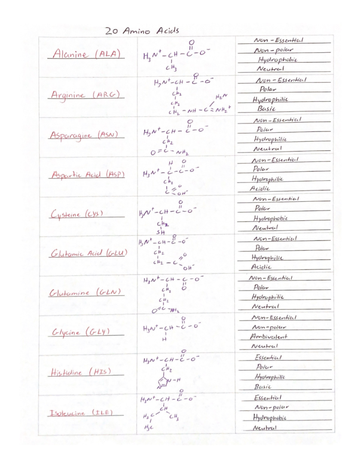 20 Amino Acids - CHEM 1A - Studocu