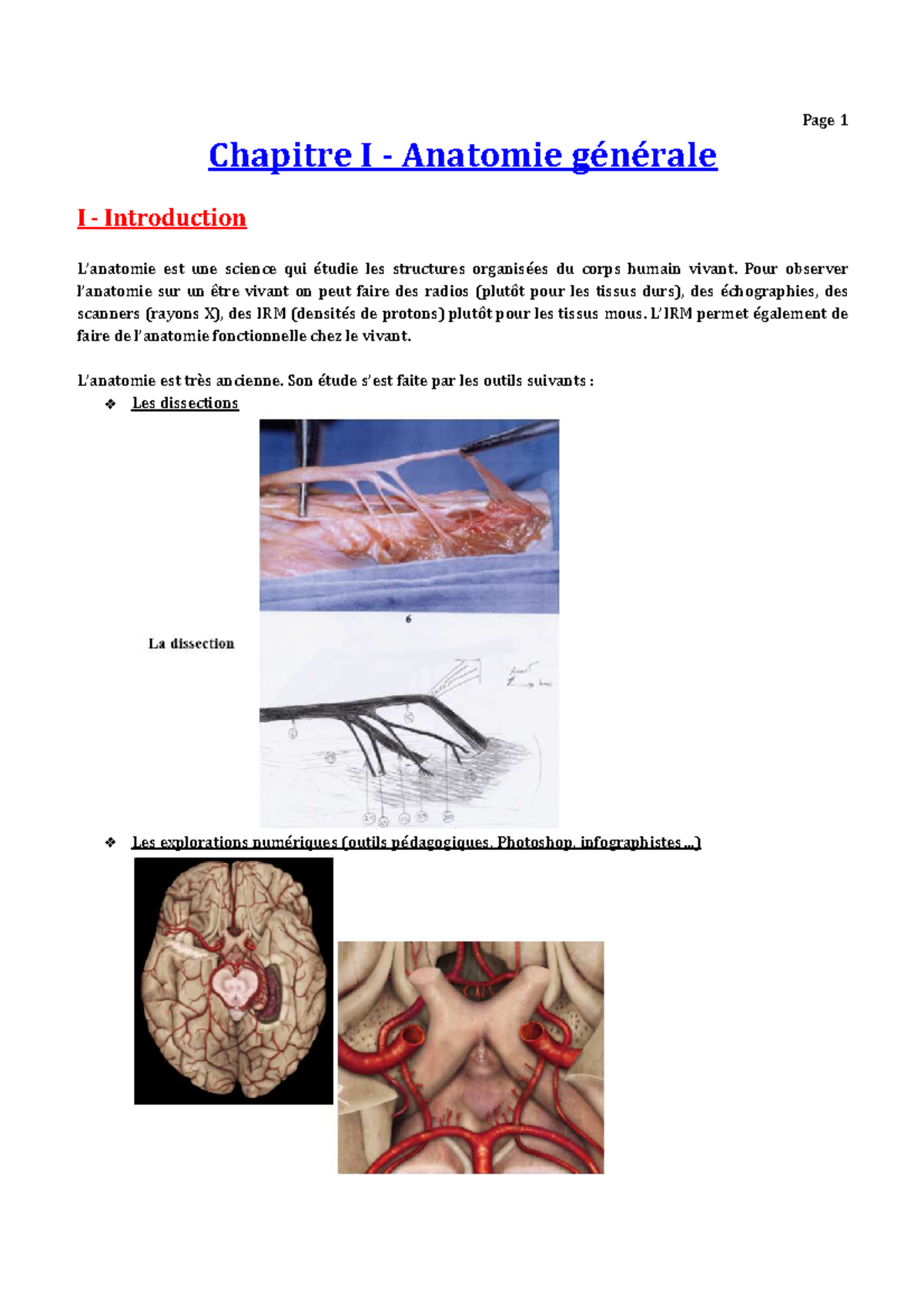 Anatomie Générale - Cours - Chapitre I - Anatomie Générale I ...