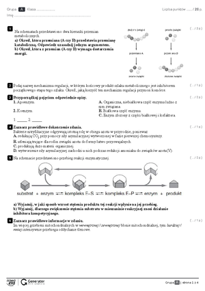 Metabolizm Nowa Era Sprawdzian Rozszerzony Grupa B www.studocu.com