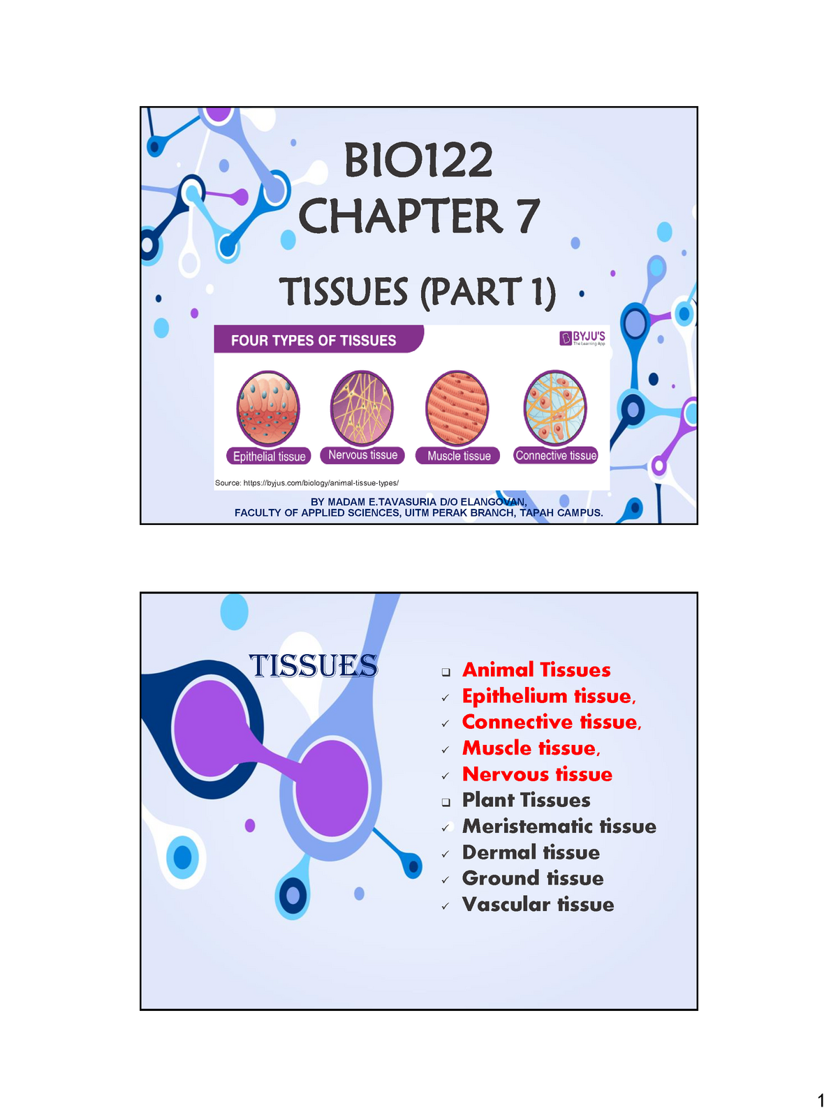 Chapter 7 Animal Tissues - BIO1 22 CHAPTER 7 TISSUES (PART 1) BY MADAM E  D/O ELANGOVAN, FACULTY OF - Studocu