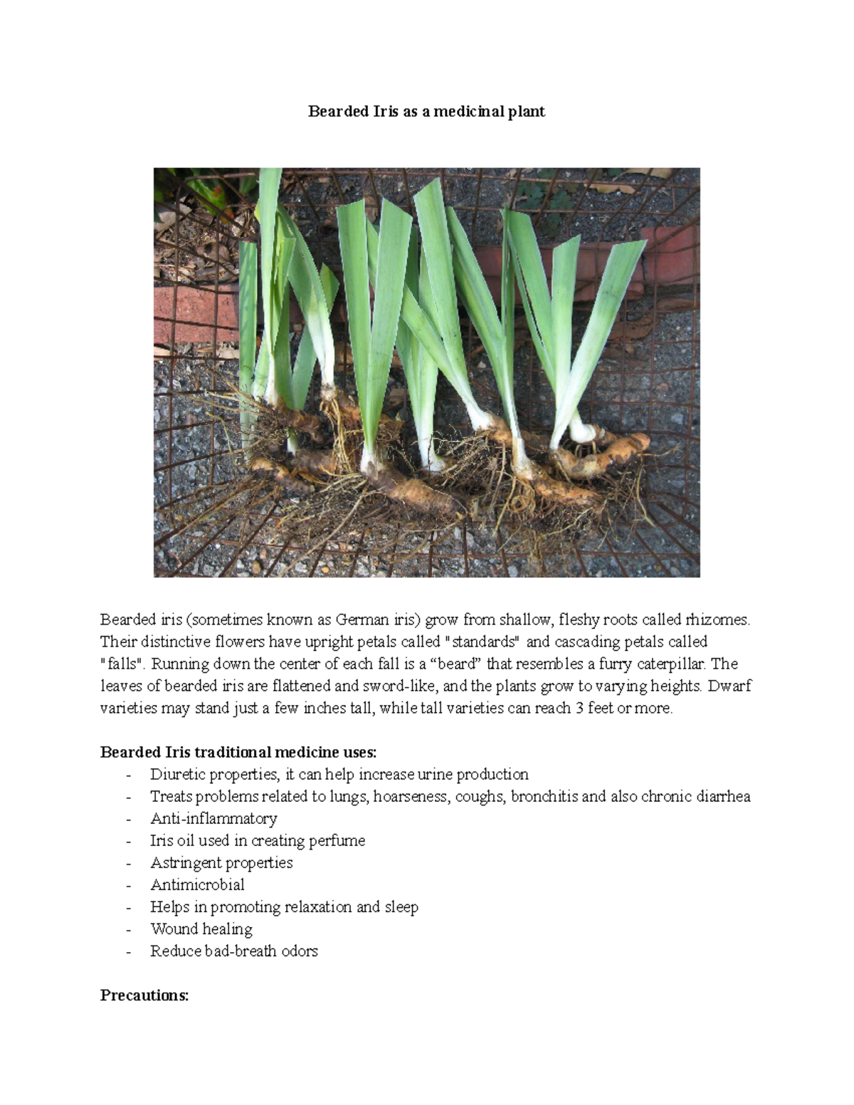 bearded-iris-as-a-medicinal-plant-bearded-iris-as-a-medicinal-plant