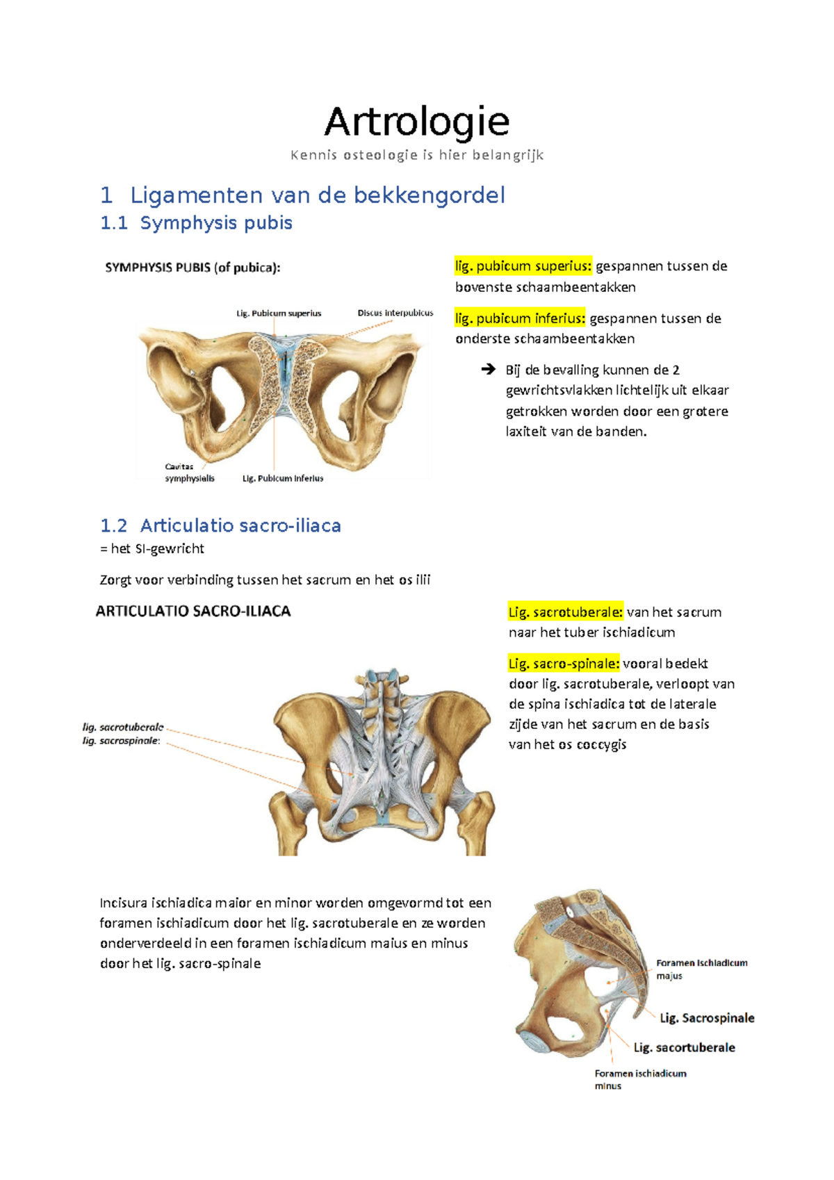 Artrologie Samenvatting - Artrologie Kennis Osteologie Is Hier ...