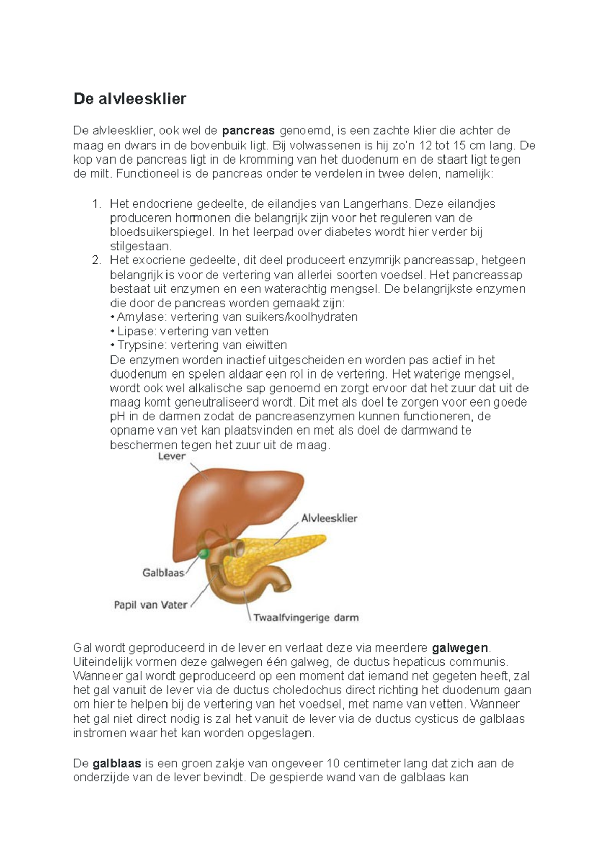 De alvleesklier Bij volwassenen is hij zo’n 12 tot 15 cm lang. De kop