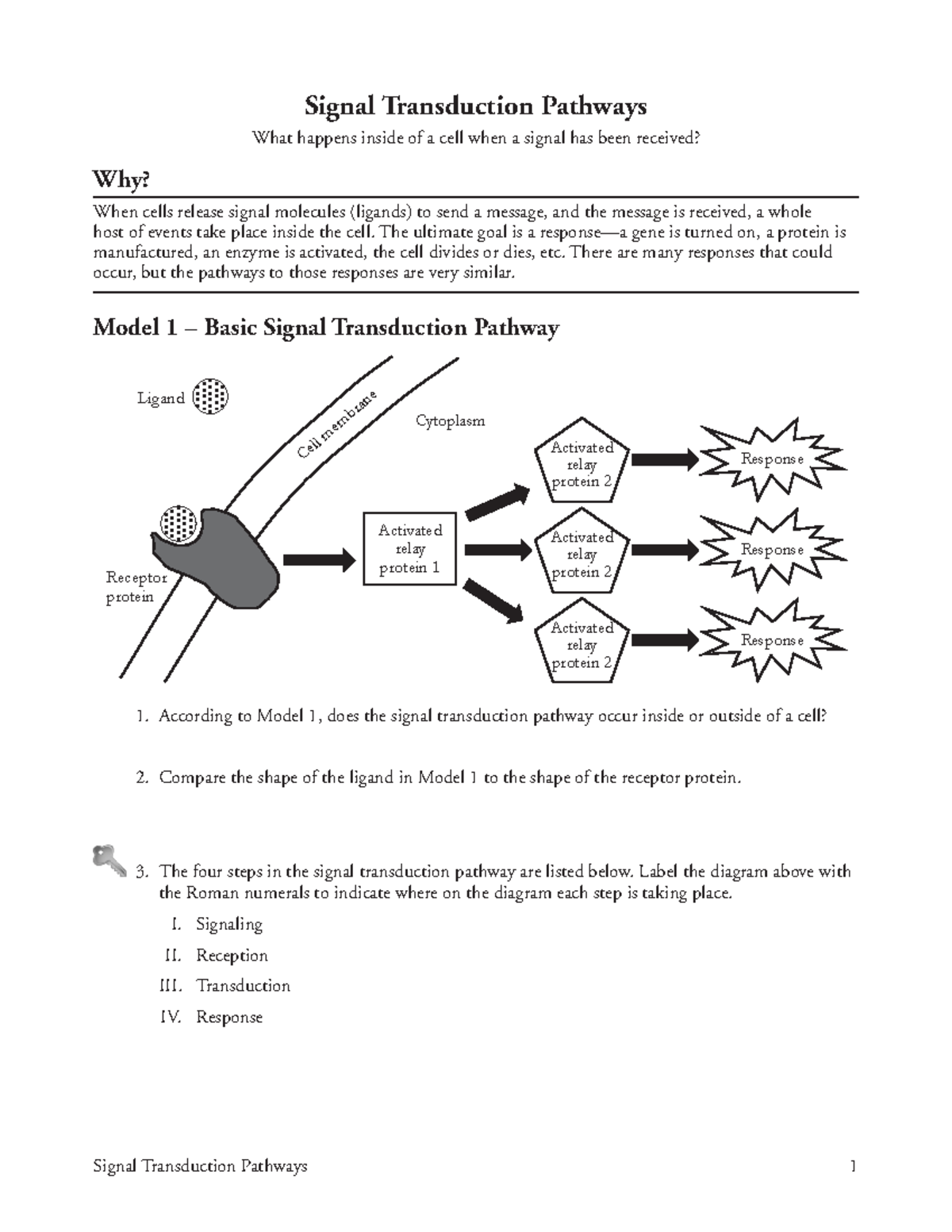 13 Signal Transduction PathwaysS The ultimate goal is a response—a