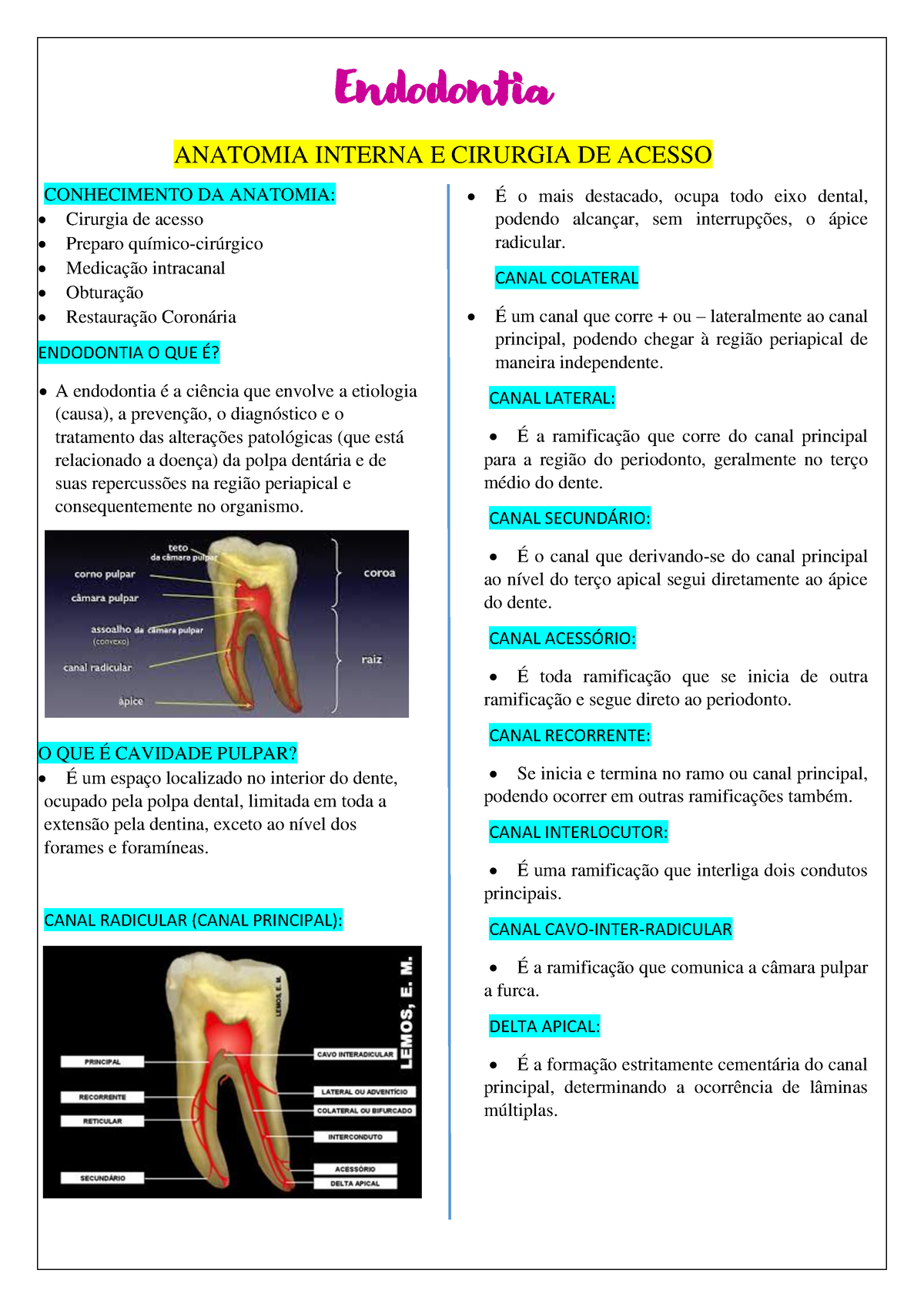 Endodontia Resumo Geral Endodontia Anatomia Interna E Cirurgia De Acesso Conhecimento Da