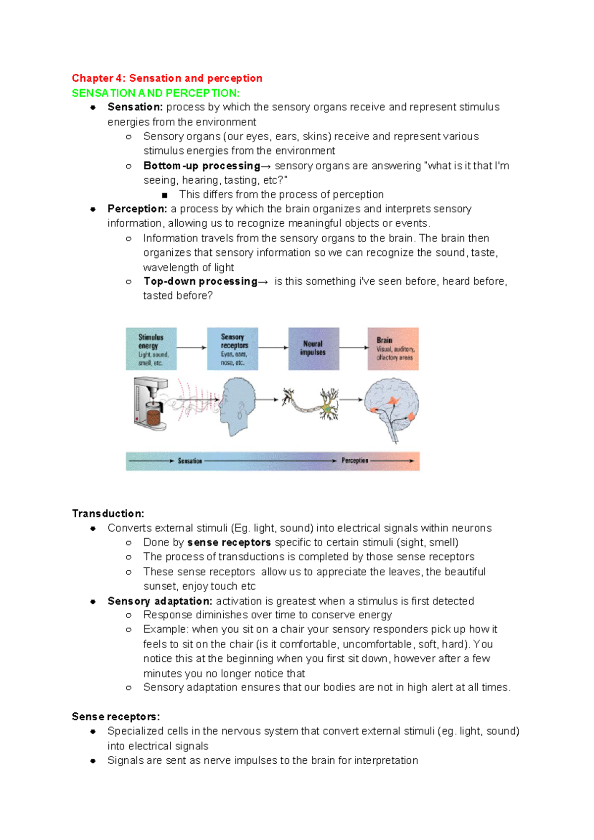 Week 5 - Chapter 4 Lecture Notes - Chapter 4: Sensation And Perception ...