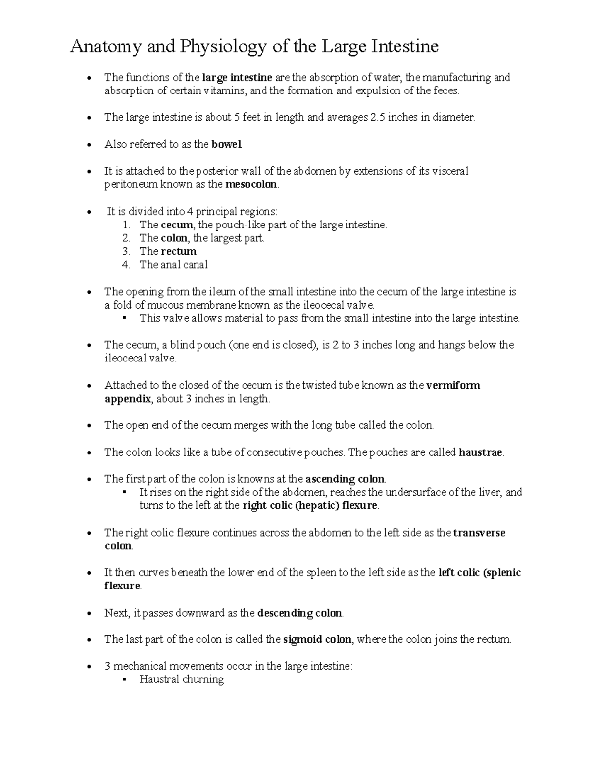 Anatomy and Physiology of the Large Intestine - The large intestine is ...