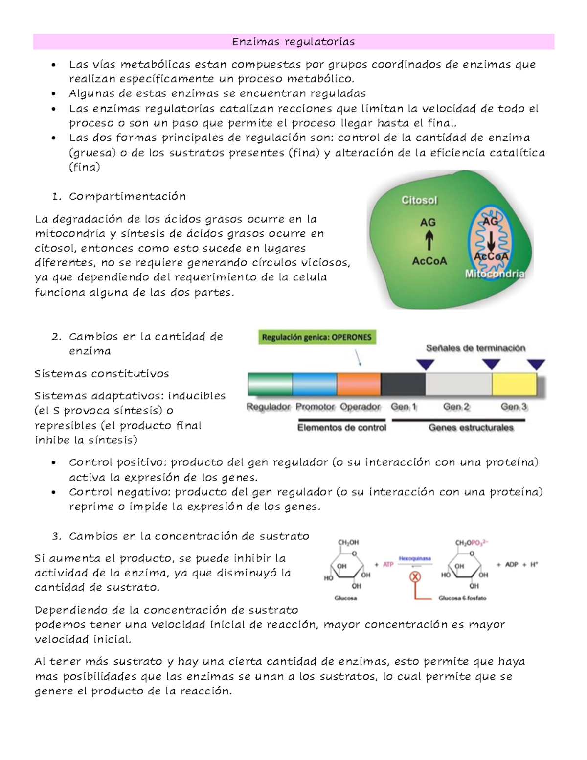 Clase Bioqu Mica Apuntes Bioquimca Enzimas Regulatorias Las V As