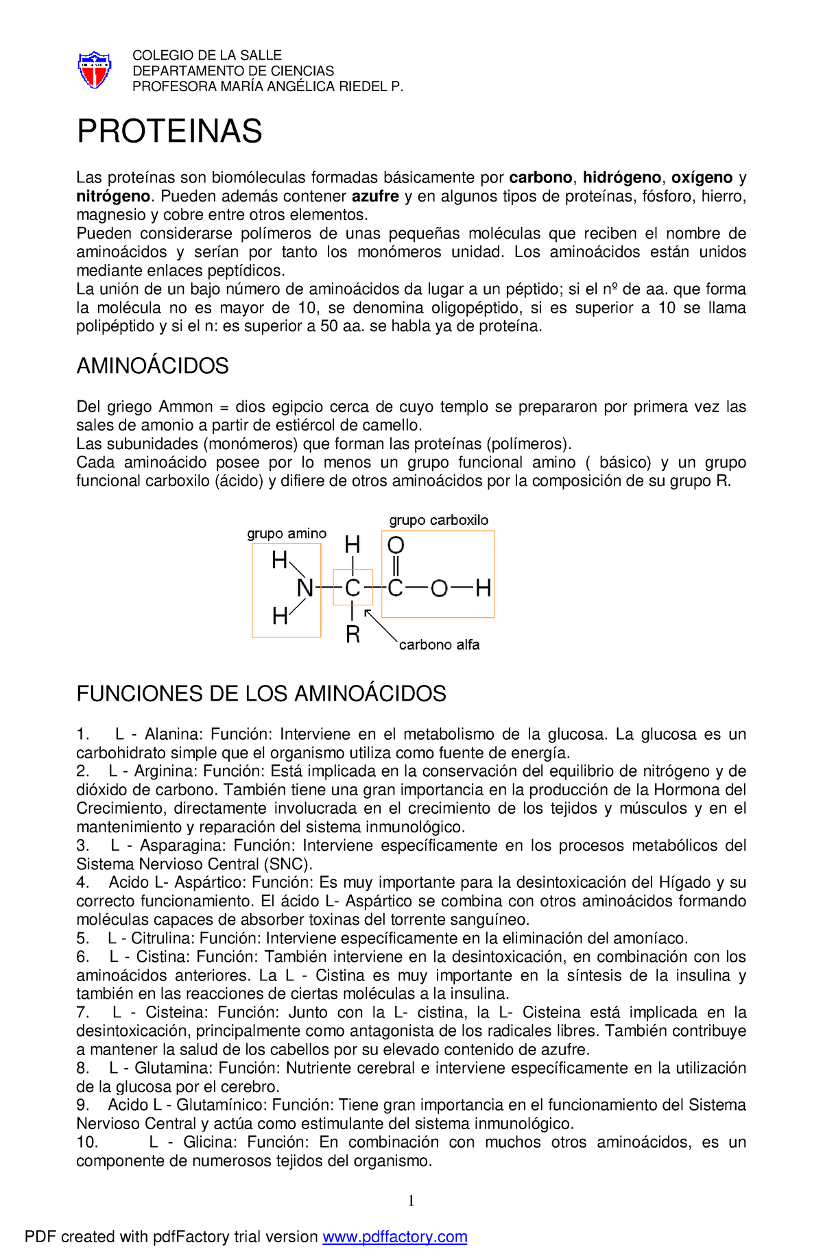 Proteinas - Documento - DEPARTAMENTO DE CIENCIAS PROFESORA MARÍA ...