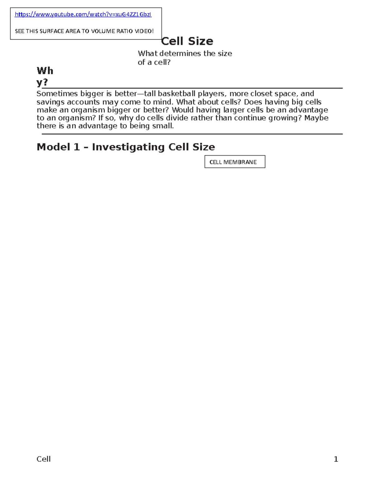 cell-size-key-teet-cell-1-wh-y-cell-size-what-determines-the-size