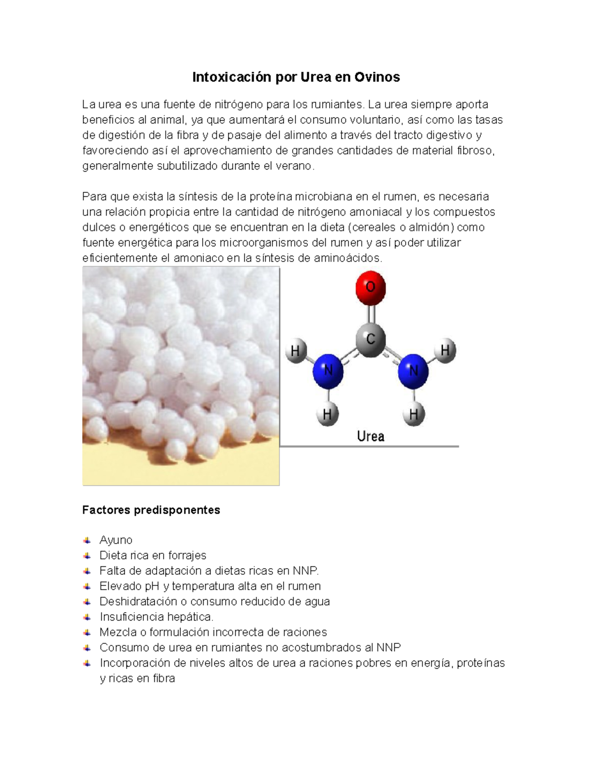 Intoxicaci n Por Urea En Ovinos Por Urea En Ovinos La Urea Es Una 