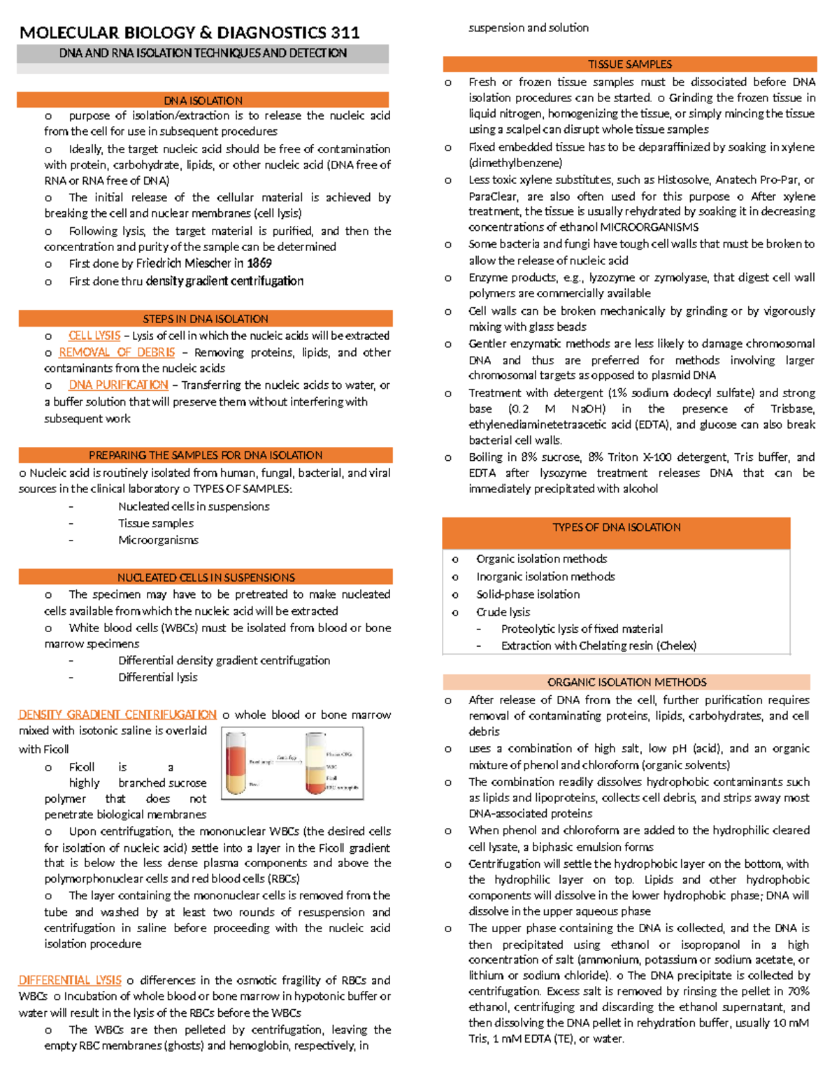 Molecular- Biology- Midterm - MOLECULAR BIOLOGY & DIAGNOSTICS 311 DNA ...