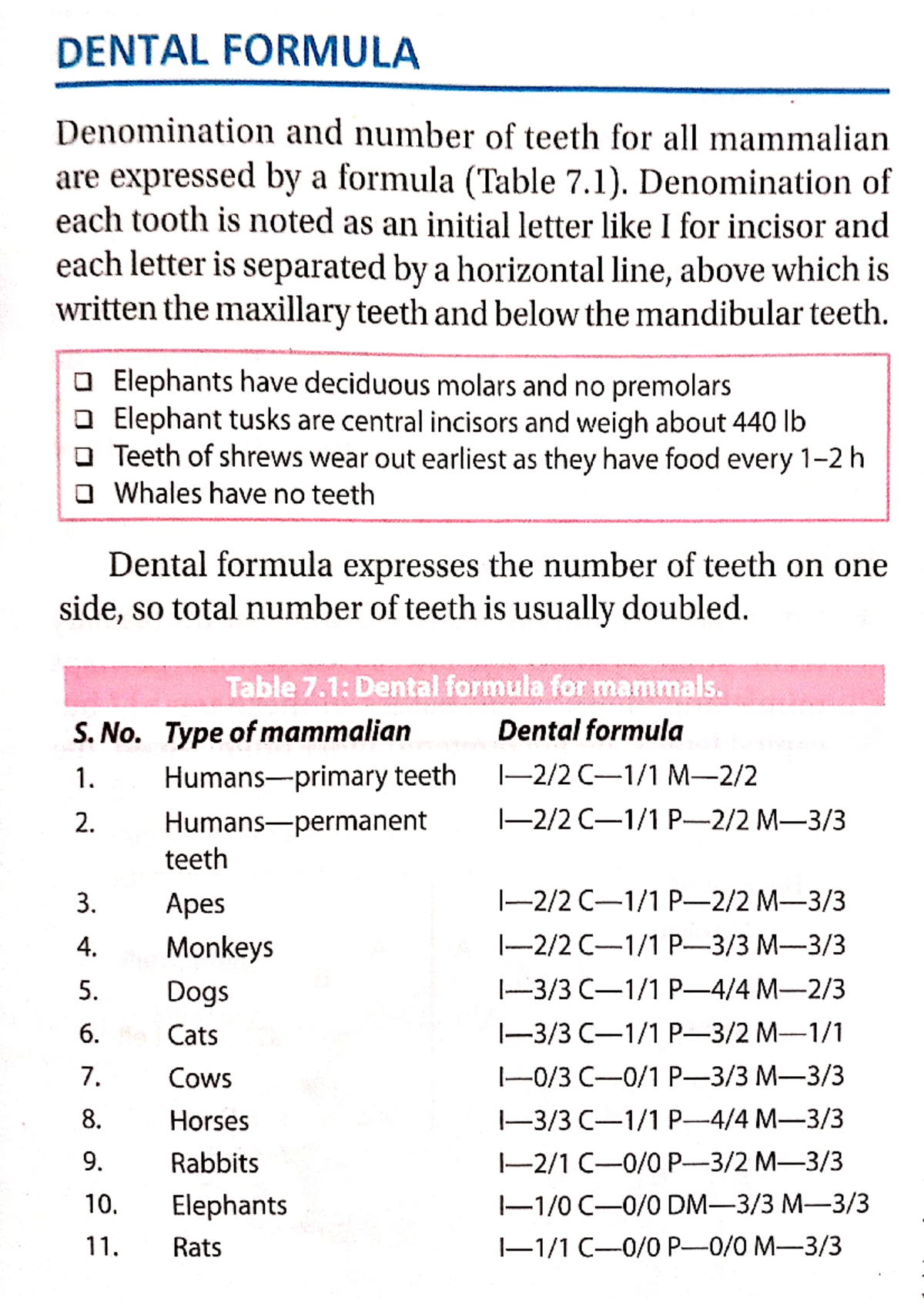 Dental formula Notes BDS Studocu