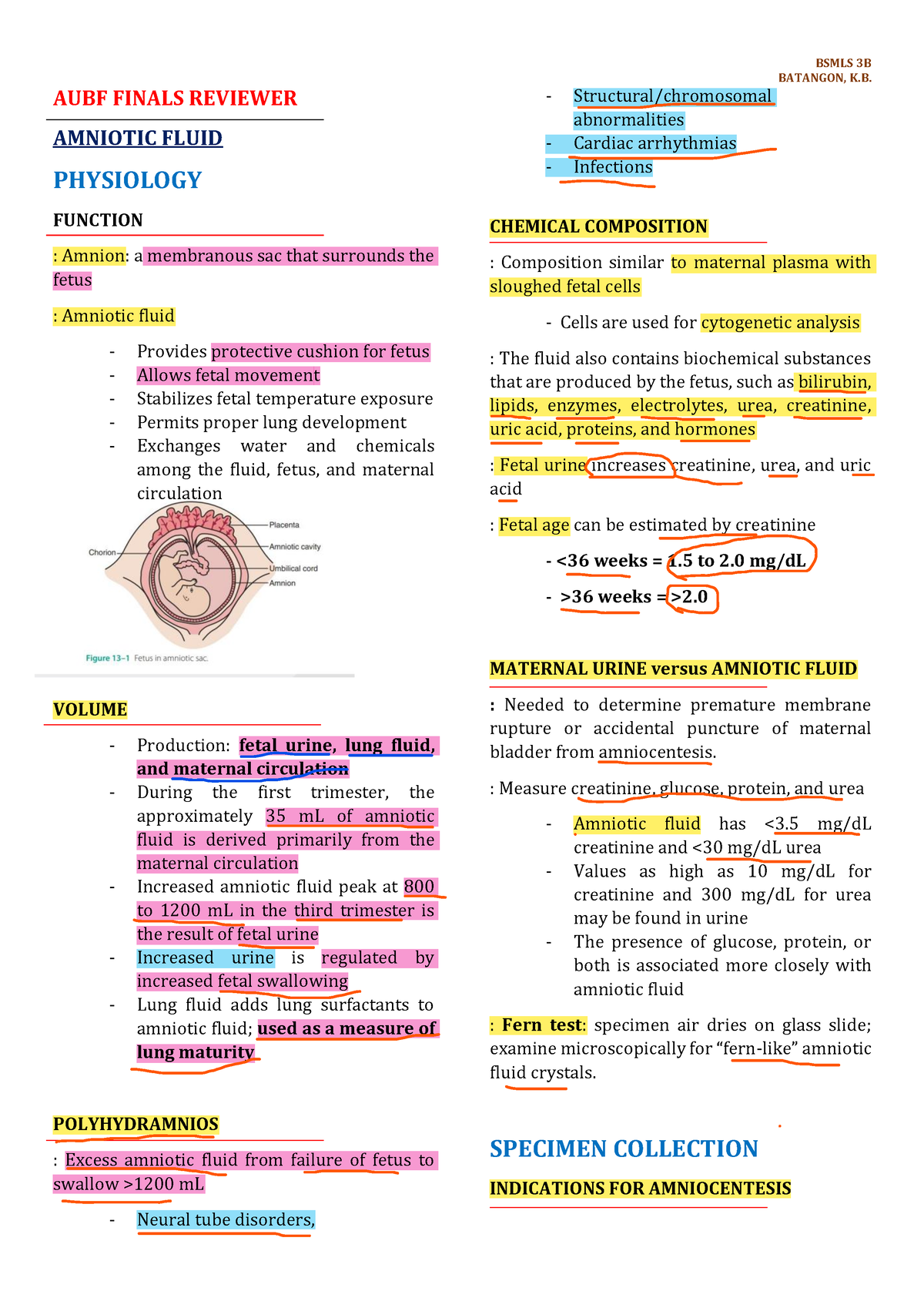 AUBF- Finals- Reviewer - BATANGON, K. AUBF FINALS REVIEWER AMNIOTIC ...