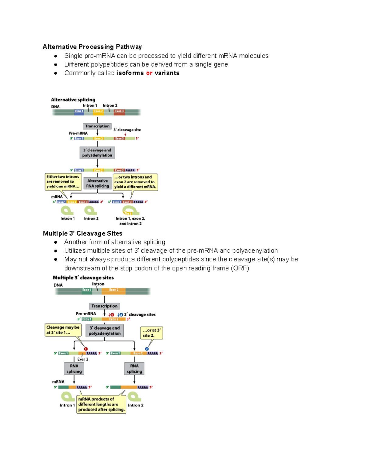 Genetics Chpater 14 Part 3 Deprecated Api Usage The Svg Back End Is