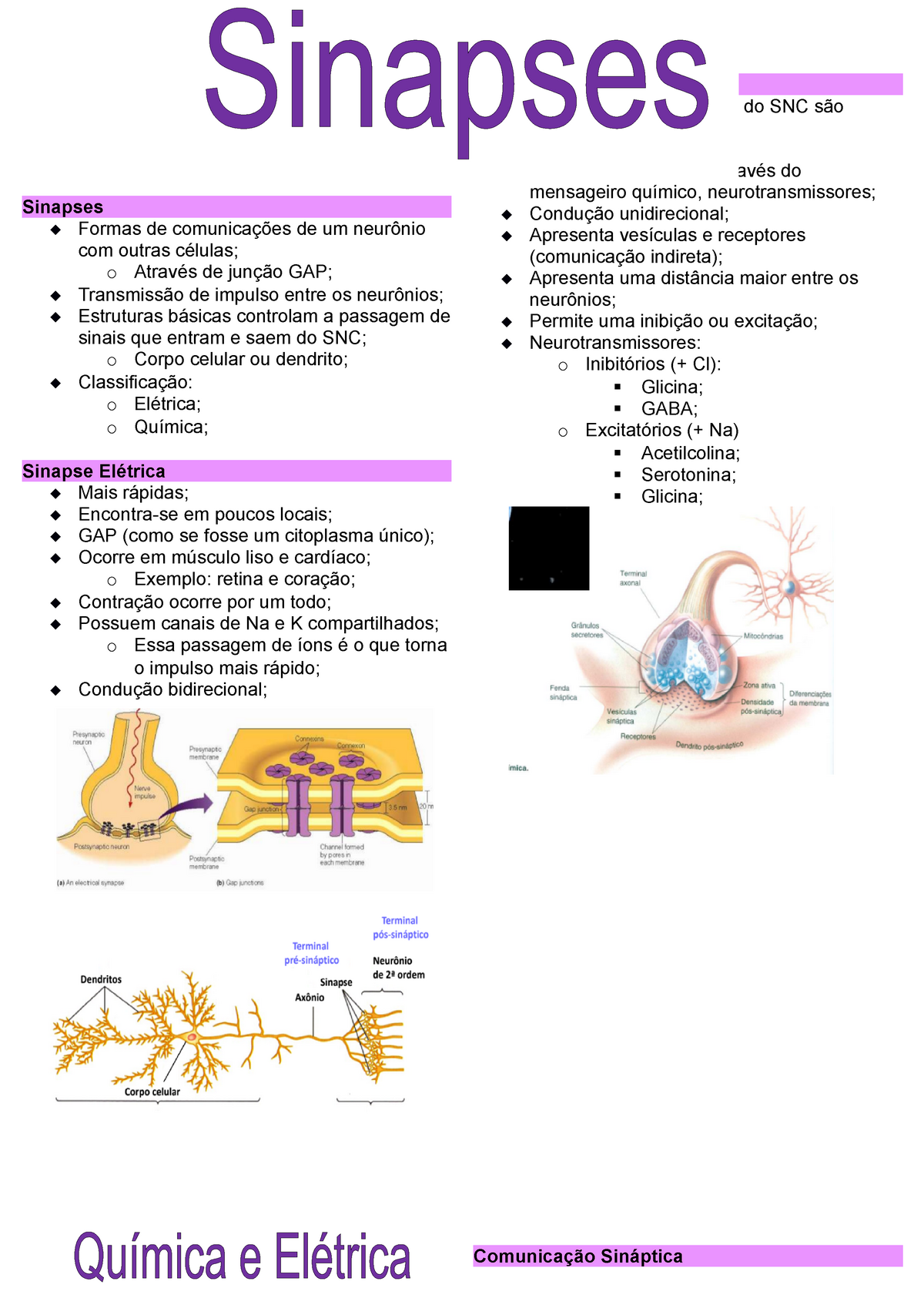 Aula Fisiologia As informações do resumo foram retiradas das anotações das aulas e do