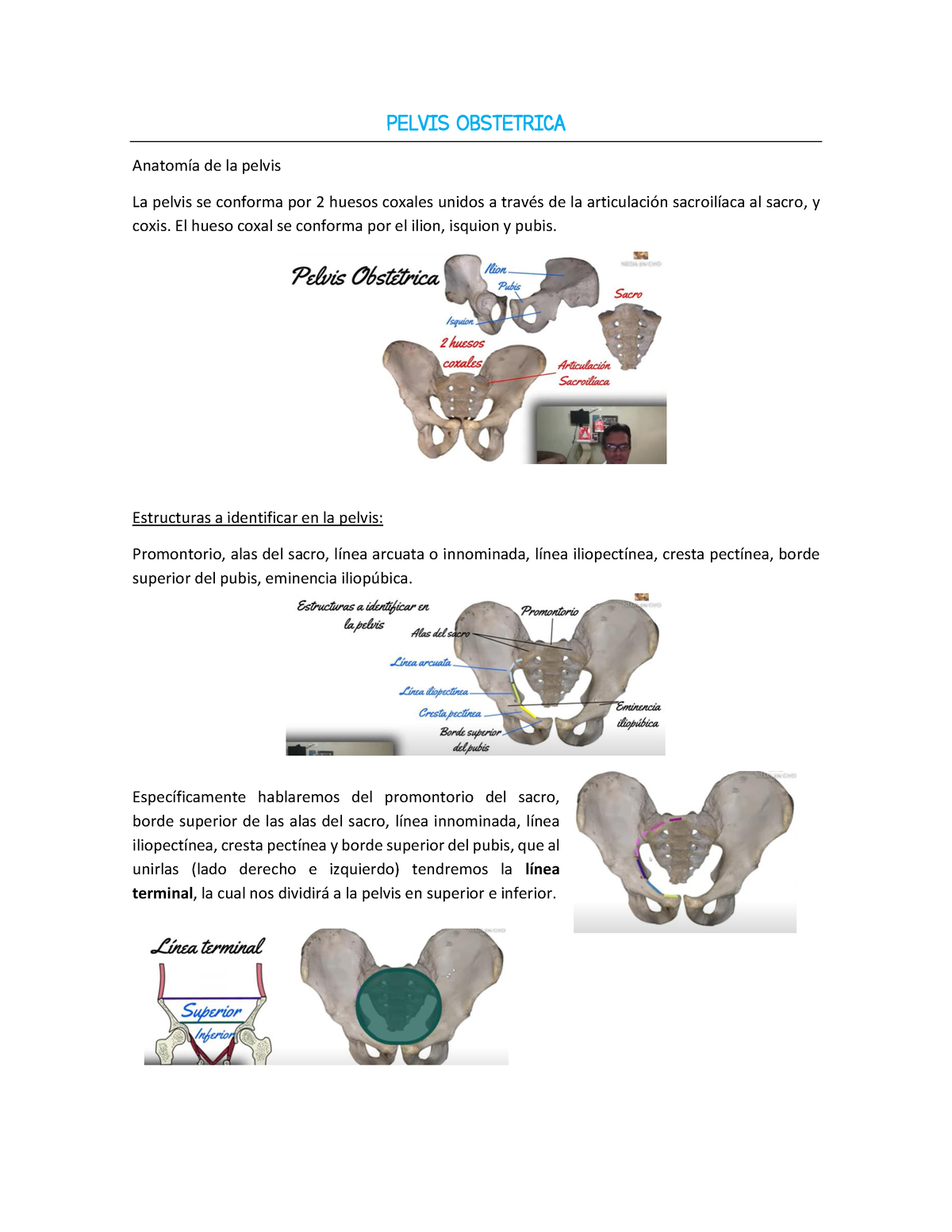 Planos de Hodge PELVIS OBSTETRICA Anatomía de la pelvis La pelvis se conforma por huesos