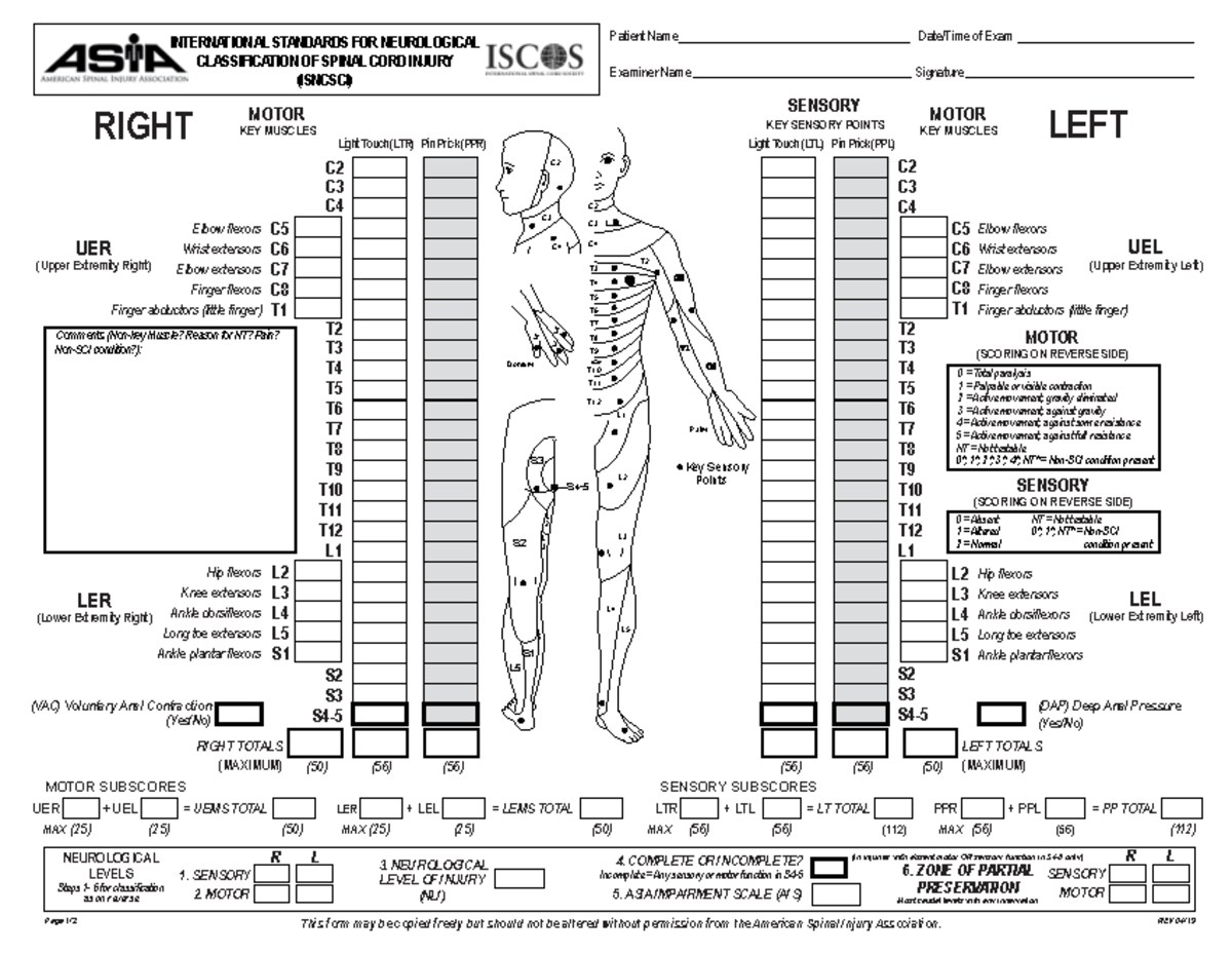 ASIA-Chart Spinal Examination - Page 1/2 This form may be copied freely ...