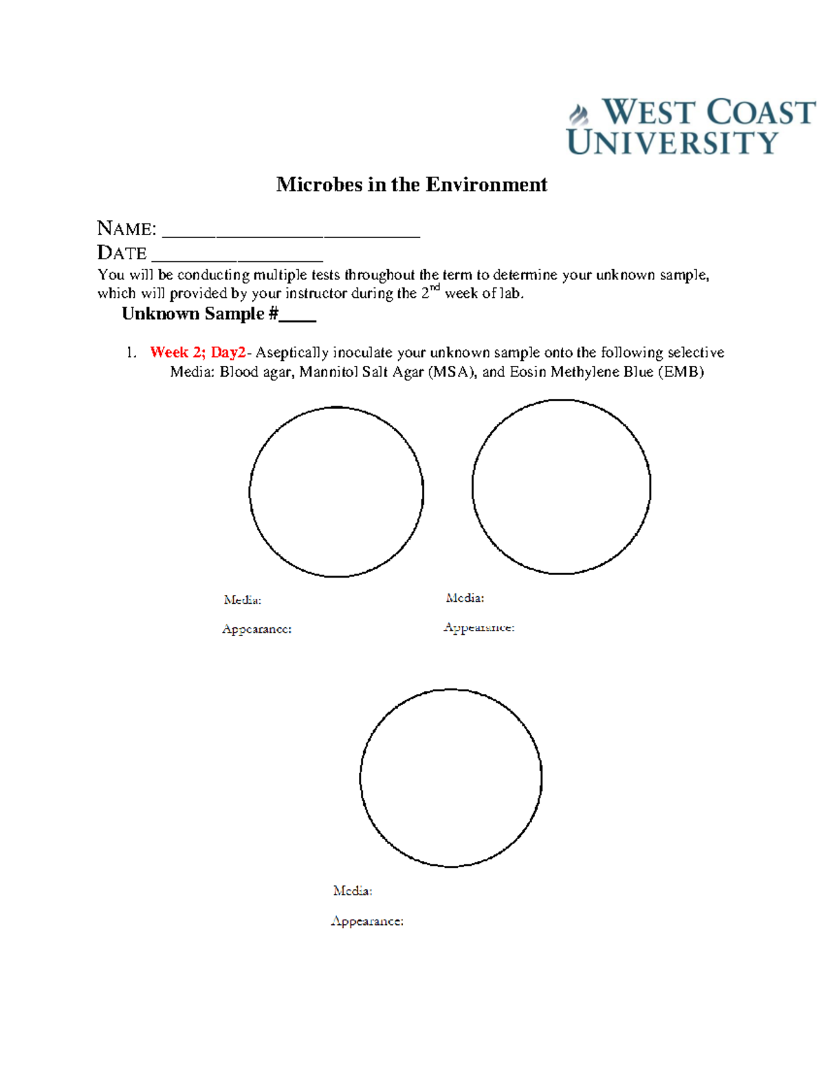 Lab week 8 - gah - Microbes in the Environment NAME ...