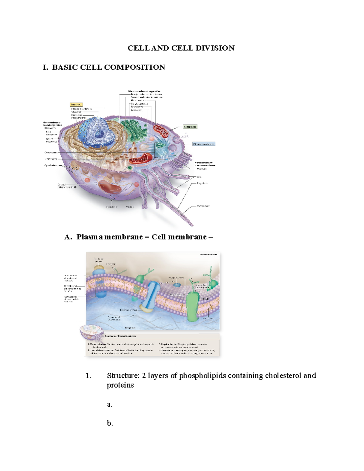BIO225-2.cell.and.cell.div.outline - CELL AND CELL DIVISION I. BASIC ...